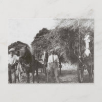 Hommes au travail Vintage noir et blanc - Carte po