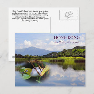 Postale Hong Kong Wetlands Park Carte de poste de voyage