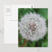 Postale Horloge de la carte (Devant / Derrière)