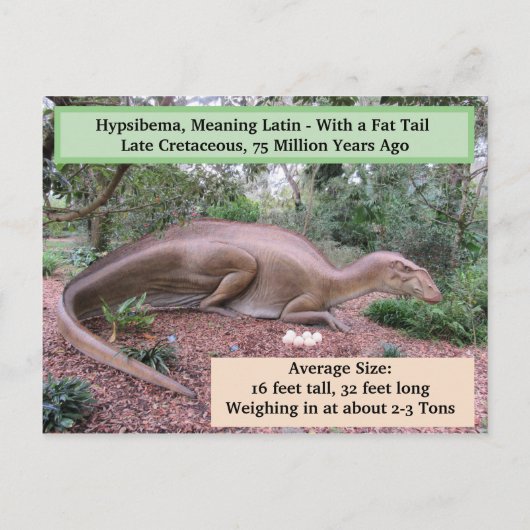 Postale Hypsibema - Dinosaure - Carte d'apprentissage (Dos)