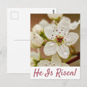 Postale "Il est ressuscité" Résurrection dimanche Carte po (Devant / Derrière)