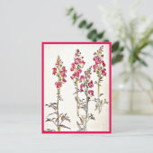 Postale Illustration Vintage Carte Postale-Beatrix Potter  (Debout devant)