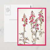 Postale Illustration Vintage Carte Postale-Beatrix Potter  (Devant / Derrière)