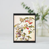 Postale Illustration Vintage Carte Postale-Beatrix Potter  (Debout devant)