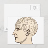 Postale Image de carte du cerveau d'anatomie vintage (Devant / Derrière)