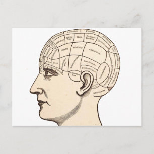 Postale Image de carte du cerveau d'anatomie vintage