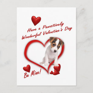 Postale Jack Russell Puppy Love In An Enveloppe Carte Post