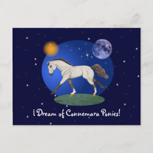 Postale Je rêve du Carte pour notes du Connemara Ponies