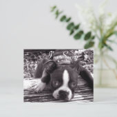 Postale Je suis Désolé Carte (Debout devant)