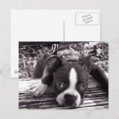 Postale Je suis Désolé Carte (Devant / Derrière)