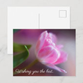 Postale Je vous souhaite la meilleure - Carte d'anniversai (Devant / Derrière)