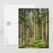 Postale Johan Krouthén Solbelyst skogsstig CC0461 Carte po (Devant / Derrière)