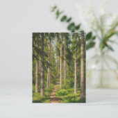 Postale Johan Krouthén Solbelyst skogsstig CC0461 Carte po (Debout devant)