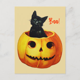 Postale Joli Chat dans une Citrouille Carte de Vœux Vintag