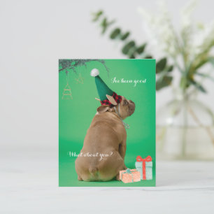 Postale Jolie Boxer Chien Noël J'ai été bonne carte postal