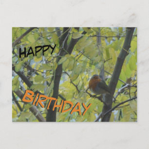 Postale Jolie carte d'anniversaire avec un rouge-gorge dan