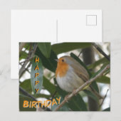 Postale Jolie carte d'anniversaire Robin et feuilles verte (Devant / Derrière)