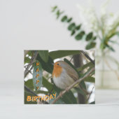 Postale Jolie carte de bonne anniversaire de Robin et feui (Debout devant)