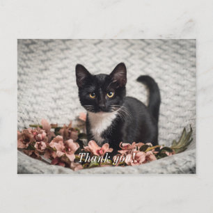 Postale Jolie carte de remerciement Bella Rose