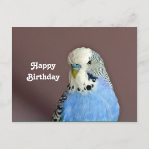 Postale Jolie carte de voeux d'anniversaire avec photo de 
