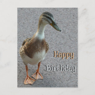 Postale Jolie carte de vœux d'anniversaire avec un canard