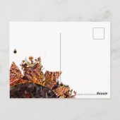 POSTALE JOURNÉE SUCRÉE ! :)  CARTE "À PENSÉE À VOUS" (Dos)