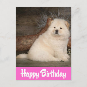Postale Joyeux Anniversaire Chow Chow Chiots Chien Carte P