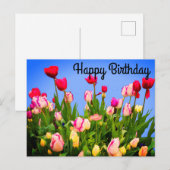 Postale Joyeux Anniversaire Divers Tulipes #3 Carte Postal (Devant / Derrière)