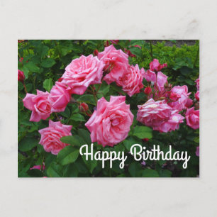 Postale Joyeux Anniversaire Gene Boerner Rose #2 Carte Pos