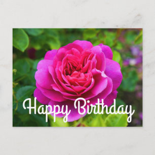 Postale Joyeux Anniversaire Princesse Anne Rose #1 Carte P