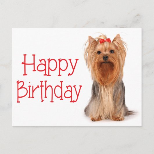 Postale Joyeux Anniversaire Yorkshire Terrier Puppy Carte (Devant)