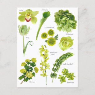 Postale kaart Groene bloemen