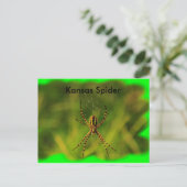 Postale Kansas Garden Spider CARTE POST (Debout devant)