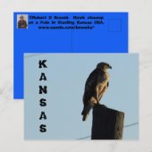 Postale Kansas Hawk sur un Polonais fermer carte postale. (Devant / Derrière)