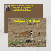 Postale Kansas Kill Deer dans une CARTE POST. (Devant / Derrière)