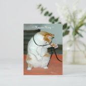 Postale Karate Kitty Chat jouer carte Postcard (Debout devant)