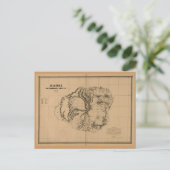 Postale Kauai, 1878, Carte d'Hawaï Vintage (Debout devant)