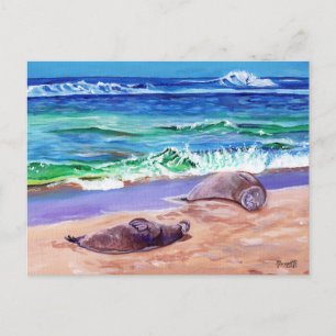 Postale Kauai Hawaiian Monk Seals on Poipu Beach Carte pos