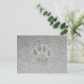 Postale Kitten empreinte de patte dans la neige Carte post (Debout devant)