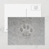 Postale Kitten empreinte de patte dans la neige Carte post (Devant / Derrière)
