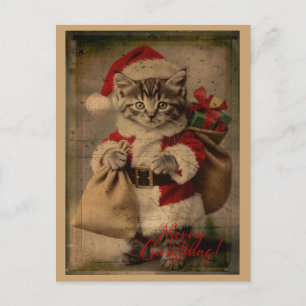 Postale La carte de Noël 'Folie festive' pour chaton