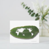 Postale La carte du monde rongée par les vers (Debout devant)