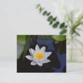 Postale La carte Lotus Blanche (Debout devant)