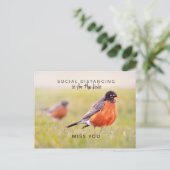 Postale La Distance Sociale Est Pour Les Oiseaux Carte Pos (Debout devant)