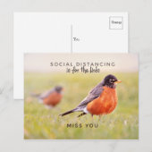Postale La Distance Sociale Est Pour Les Oiseaux Carte Pos (Devant / Derrière)