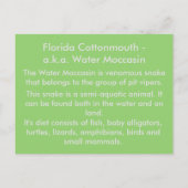 Postale La Floride Cottonmouth - Apprentissage Carte Posta (Dos)