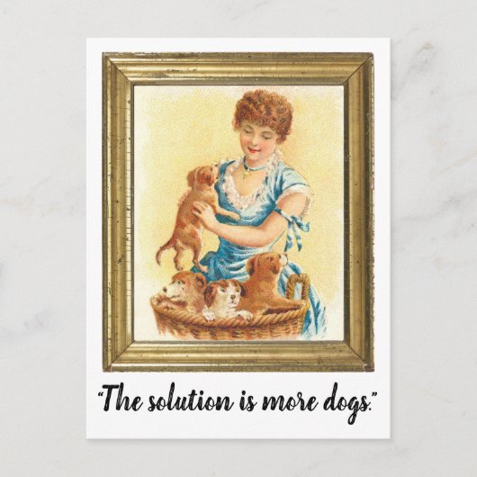 Postale "La solution est plus de chiens" drôle carte posta (Devant)