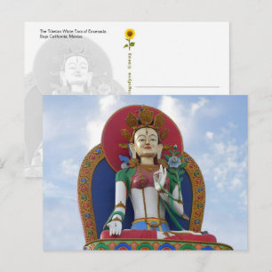 Postale La Tara blanche tibétaine d'Ensenada - carte posta