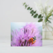 Postale Ladybug sur la carte à fleurs violettes (Debout devant)