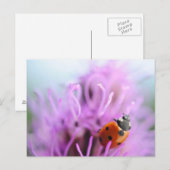 Postale Ladybug sur la carte à fleurs violettes (Devant / Derrière)